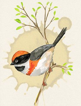 Black throated bushtit watercolor