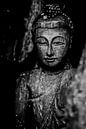 Buste de bouddha en bois par arjan doornbos Aperçu