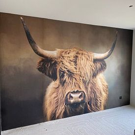 Customer photo: Scottish Highland Cow by Diana van Tankeren, as wallpaper