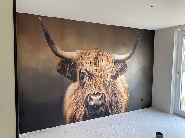 Customer photo: Scottish Highland Cow by Diana van Tankeren, as wallpaper