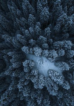 Textuur van het bos van Yuhan Liao