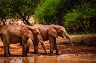 Rode olifanten bij de waterpoel in Kenia, Tsavo Nationaal Park van Fotos by Jan Wehnert thumbnail