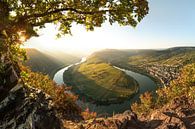 L'automne sur la Moselle par Voss Fine Art Fotografie Aperçu