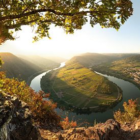 L'automne sur la Moselle sur Voss Fine Art Fotografie