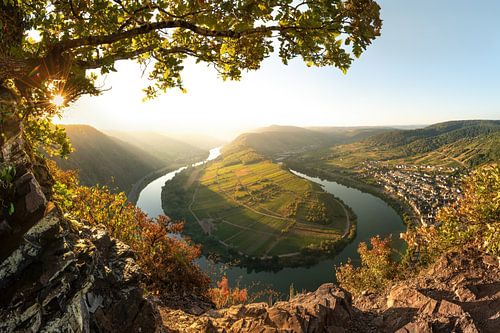 Herbst an der Mosel von Voss Fine Art Fotografie