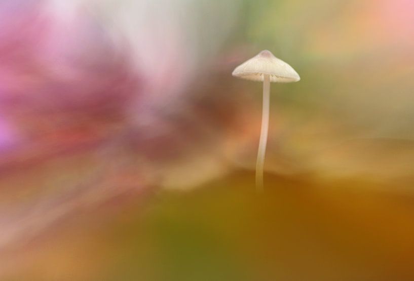 Autumn by Remco loeffen