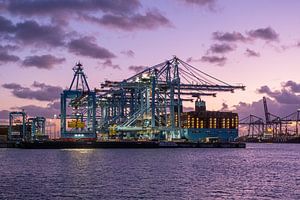 Container terminal 6