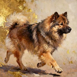 Schwedischer Lapphund