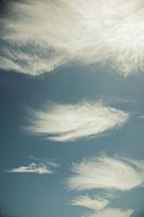 Danse de la lumière