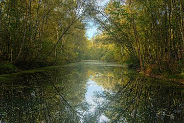 Spiegelung im Wasser einer schönen Landschaft von Robby's fotografie