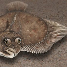 Countenance of a flounder (Platichthys flesus) from the frog's perspective by Urft Valley Art