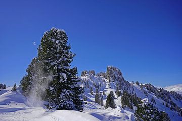 Winterwandeling in de Tuxer Alpen in Oostenrijk