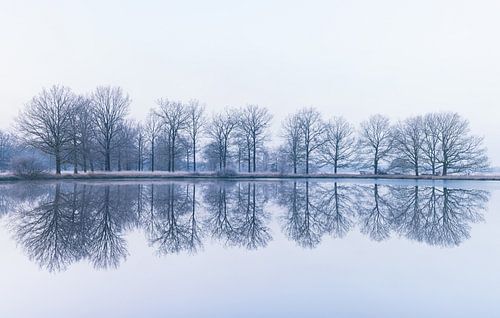 Natuurgebied Nationaal Park Dwingelderveld (Drenthe) - Nederland