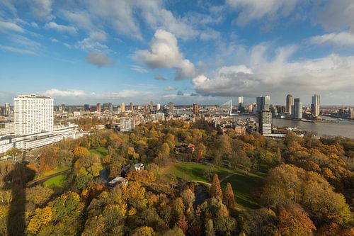Het Euromastpark in Rotterdam in herfstkleuren