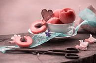 Frische Aprikosen als elegantes Stillleben arrangiert von Tanja Riedel Miniaturansicht