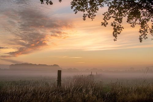 Ochtendgloren in de mist