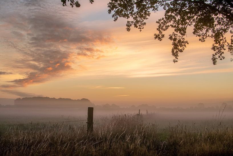 Dawn in the fog by Hans Buls Photography