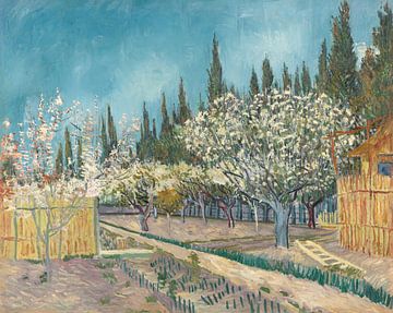 Boomgaard omzoomd door cipressen, Vincent van Gogh