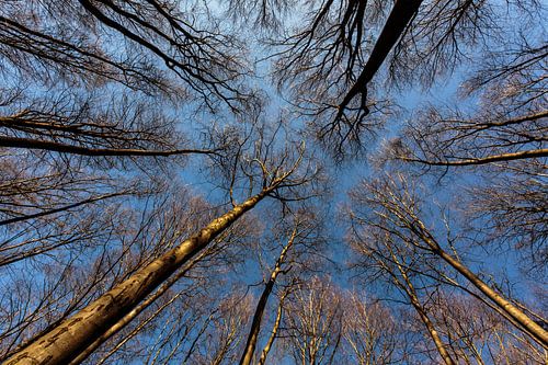 Recke deine Hand zum Himmel
