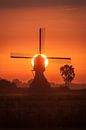 moulin avec soleil levant par Bart Hardorff Aperçu