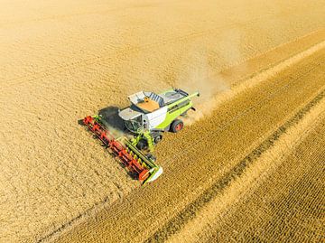 Maaidorser oogst tarwe in de zomer van bovenaf gezien van Sjoerd van der Wal Fotografie