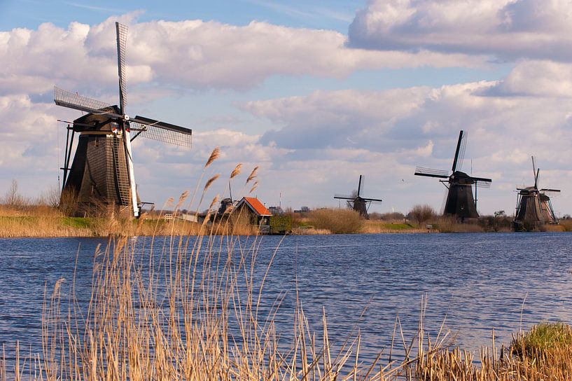 Kinderdijk Holland par Brian Morgan