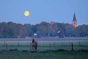 Turm von Rolde mit Mond und träumendem Pferd