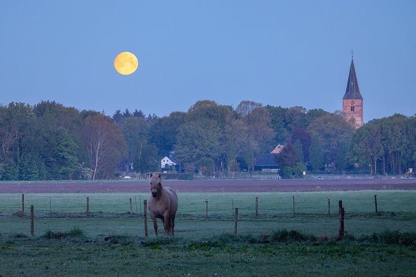 Toren van Rolde met maan en dromend paard van Karla Leeftink