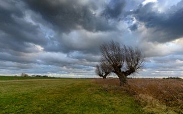 Stormachtige lucht boven een weiland van Michel Knikker