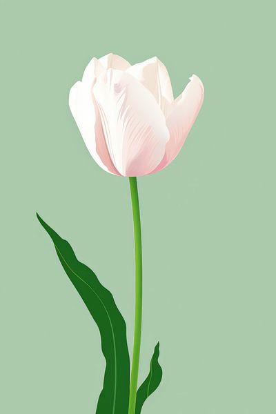 Hollandse Tulp van ByNoukk