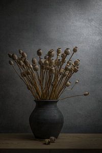 Stilleven met gedroogde papaver
