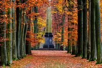Parc de Brasschaat