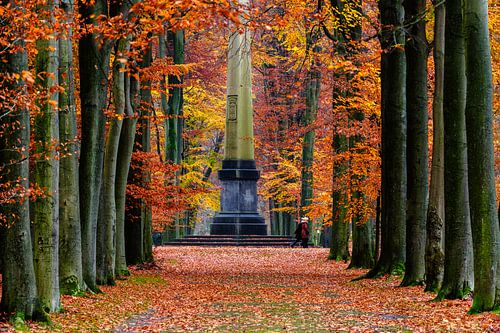 Parc de Brasschaat