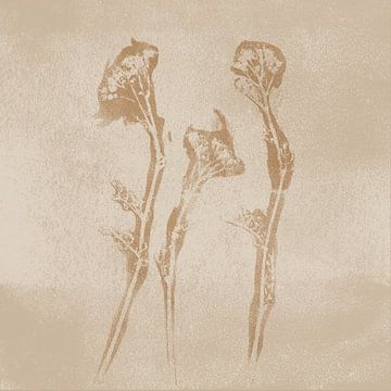 Soft Botanical Flowers. Wabi-sabi botanical art in sand, white, ochre by Dina Dankers