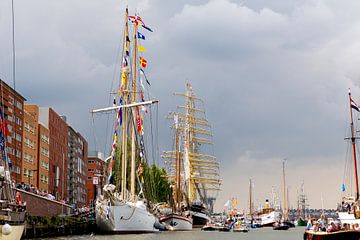 Sail Amsterdam 2015 van Liesbeth Vogelzang