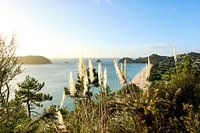 View during the walk to Cathedral Cove