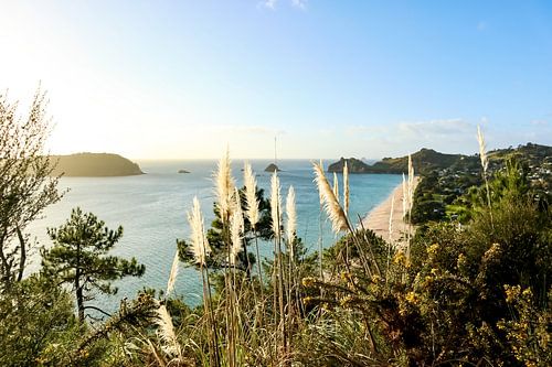 Vue pendant la marche vers Cathedral Cove
