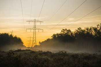 Pflanzen Sonnenuntergang Naturschutzgebiet Maashorst Uden Landschaft