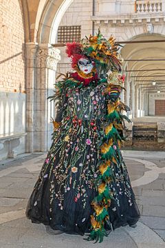 Carnaval de Venise - Magnifique costume sous les arcades du Palais des Doges sur t.ART