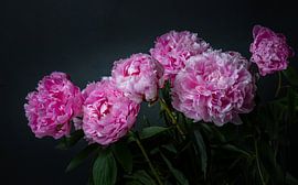 Peonies by Pieter Heres