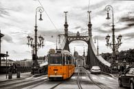 Budapest - Freiheitsbrücke mit historischer Bahn von Carina Buchspies Miniaturansicht