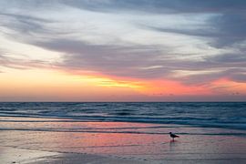 Sunset in Westende - Belgium by Tamara Witjes