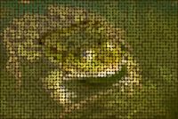 Froschkönig