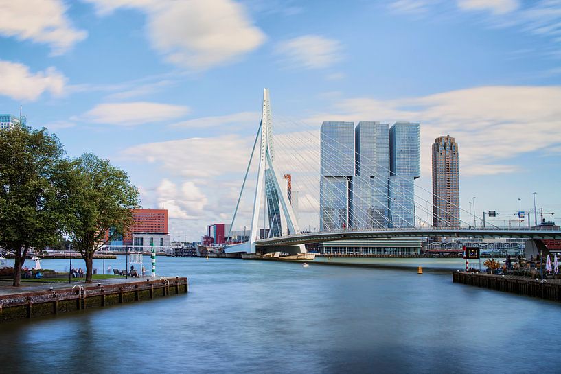 Erasmusbrug met de Rotterdammer van Kevin Nugter