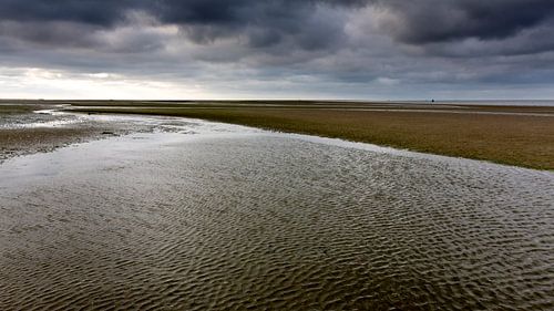 Waddenzee, Friesland. Nederland 2014.