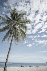 Palmboom op het strand | Indonesië van Photolovers reisfotografie