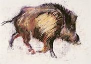 Wild Boar Trotting van Mark Adlington thumbnail