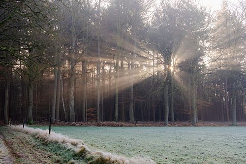 landgoed Staverden part 4