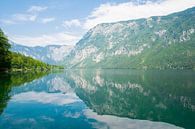 Het meer van Bohinj in Slovenie van Lifelicious thumbnail
