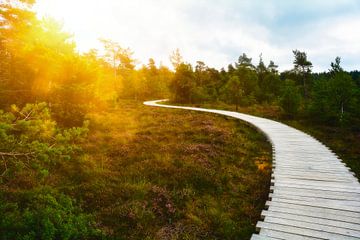 Wunderschönes Moor von Claudia Evans